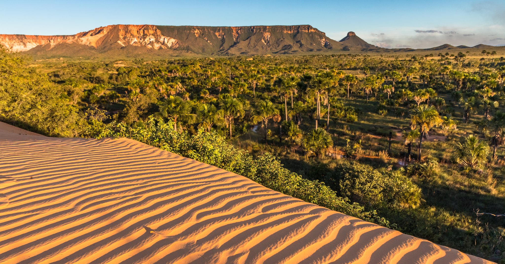 Duna de areia alaranjada com marcas de vento em primeiro plano, veredas de buritis num vale verde ao centro e uma chapada de topo plano ao fundo, sob luz de fim de tarde, nas Dunas do Jalapão, em Mateiros, no Tocantins.